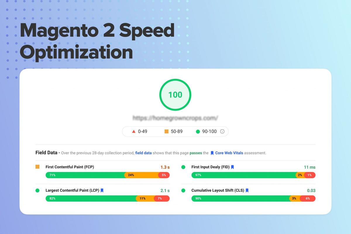 How to Speed Up Magento 2 in 2023: 32 Performance Fixes | Onilab Blog