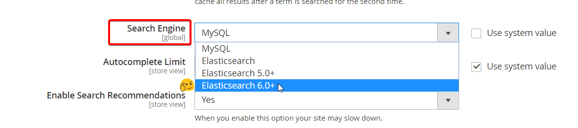 Elasticsearch/OpenSearch as Your Search Engine